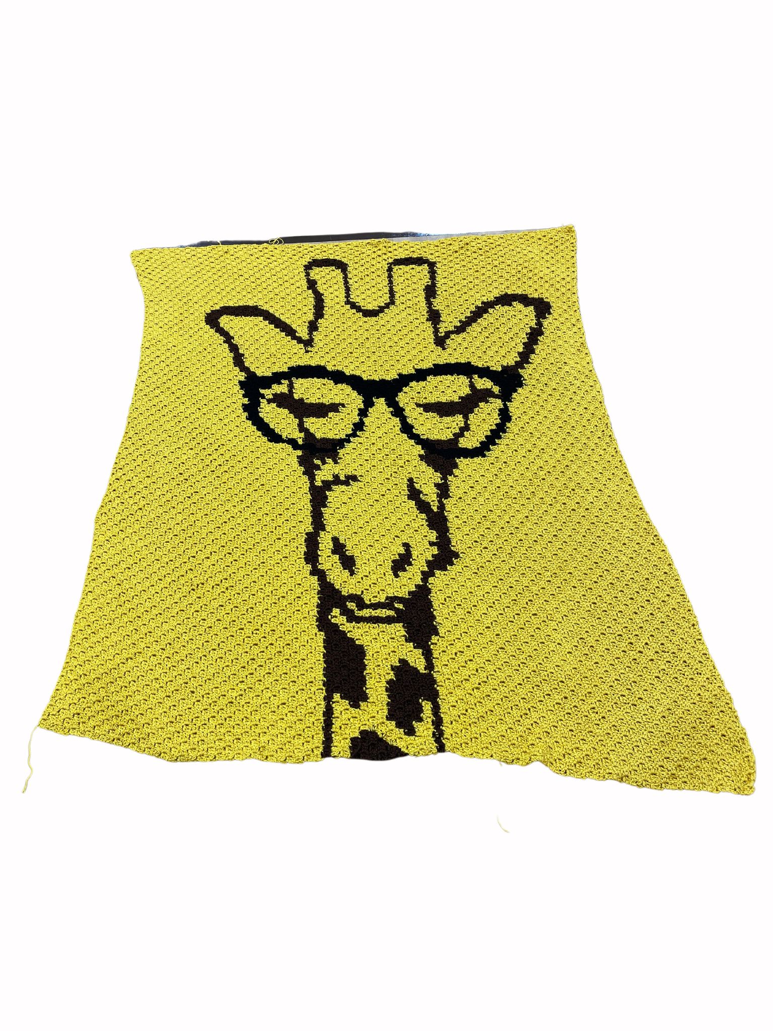  Giraffe blanket 